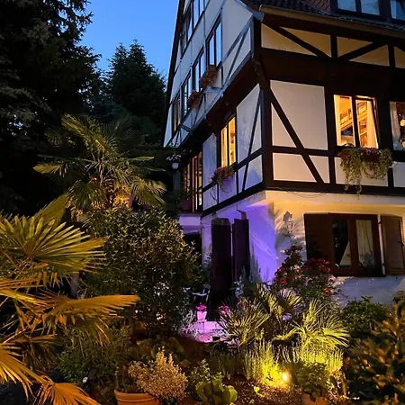 דירה Einliegerwohnung In Einer Muehle Vor Den Toren Frankfurts, Ideal Fuer Messegaeste Oder Stop Over