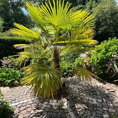 Einliegerwohnung In Einer Muehle Vor Den Toren Frankfurts, Ideal Fuer Messegaeste Oder Stop Over דירה דרייאייך