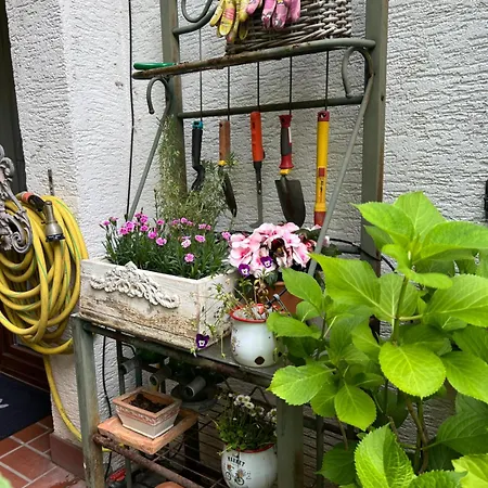 דירה Einliegerwohnung In Einer Muehle Vor Den Toren Frankfurts, Ideal Fuer Messegaeste Oder Stop Over *