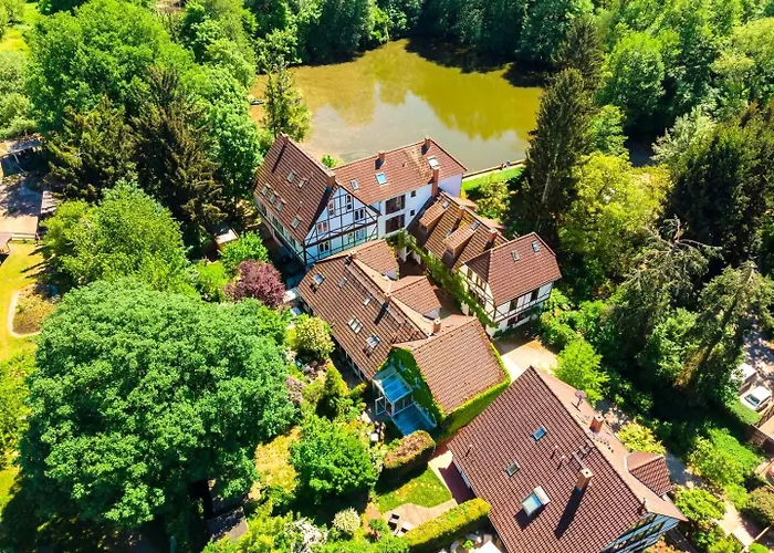 Einliegerwohnung In Einer Muehle Vor Den Toren Frankfurts, Ideal Fuer Messegaeste Oder Stop Over Апартаменты