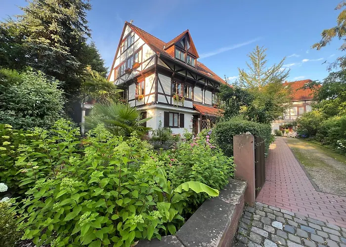 Einliegerwohnung In Einer Muehle Vor Den Toren Frankfurts, Ideal Fuer Messegaeste Oder Stop Over Апартаменты Драйайх