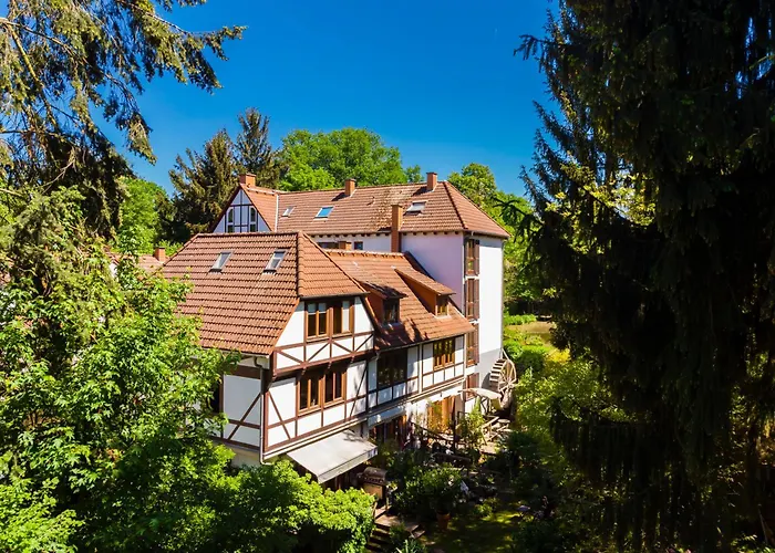 Einliegerwohnung In Einer Muehle Vor Den Toren Frankfurts, Ideal Fuer Messegaeste Oder Stop Over Драйайх