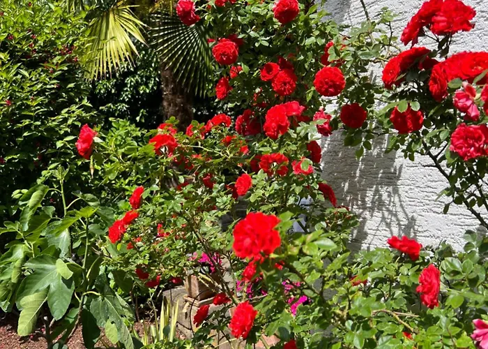 Апартаменты Einliegerwohnung In Einer Muehle Vor Den Toren Frankfurts, Ideal Fuer Messegaeste Oder Stop Over *