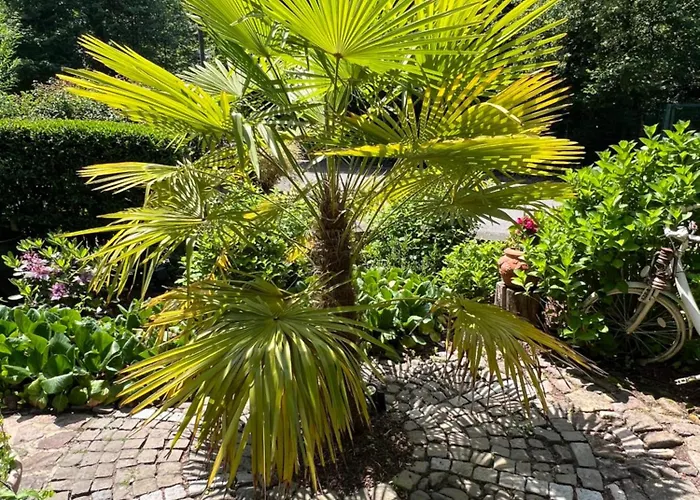 Einliegerwohnung In Einer Muehle Vor Den Toren Frankfurts, Ideal Fuer Messegaeste Oder Stop Over Апартаменты Драйайх